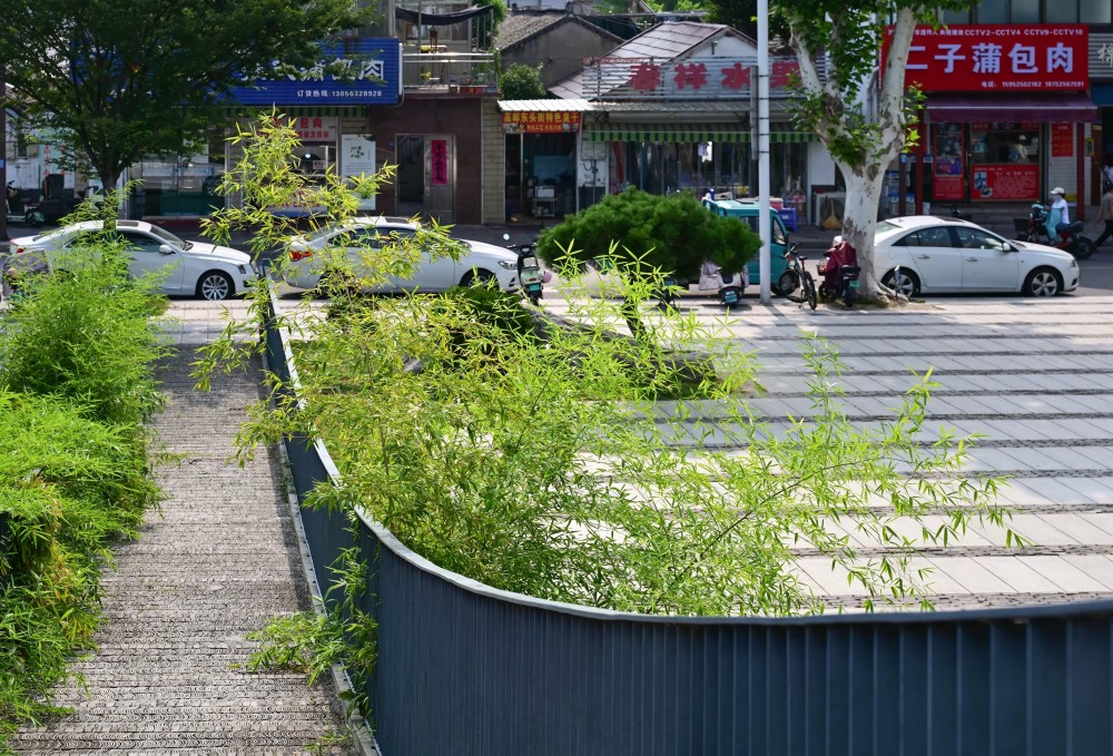Scenic Area Scenery
